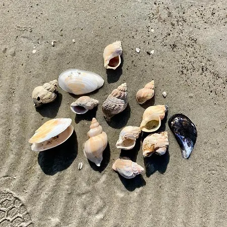 Laeso Strand * Vestero Havn